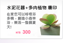 在家也可以呼吸芬多精，創造小森林浴，樂活一整個夏天!